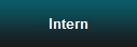 Intern